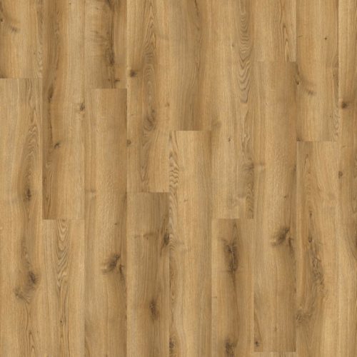 Adelar Solida Acoustic Traditional Oak 03826