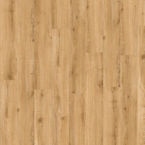 Solida Acoustic European Oak 04270