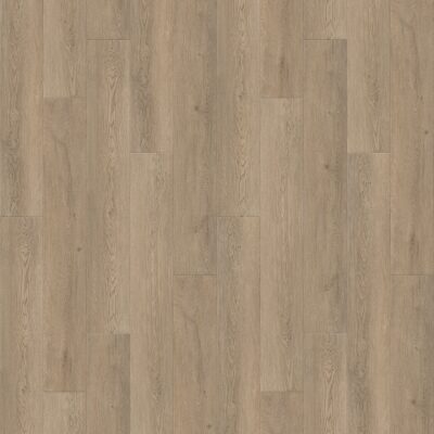 Floorwood Residence 6241 Дуб Веларус дымчатый