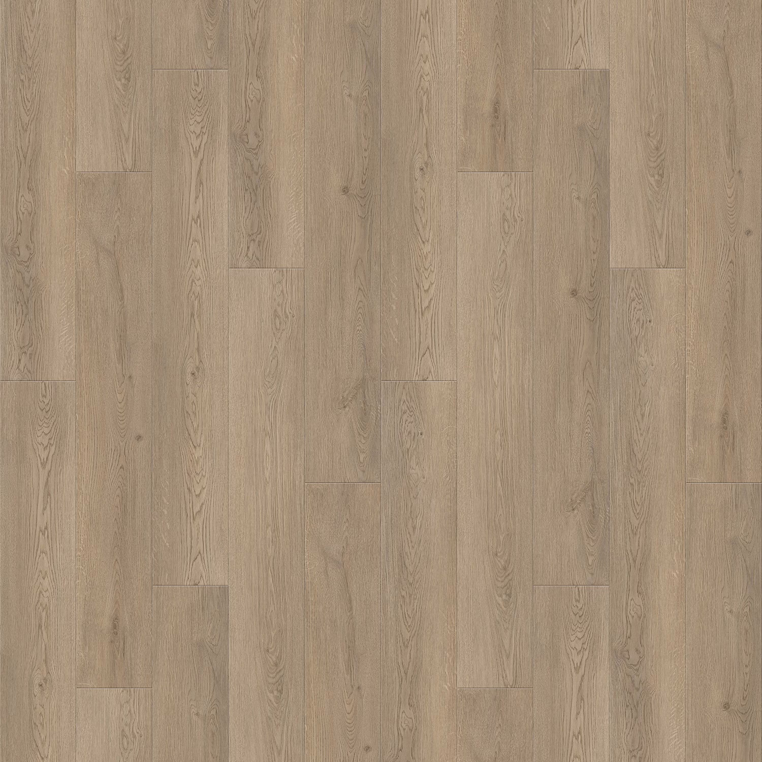 Floorwood Residence 6241 Дуб Веларус дымчатый