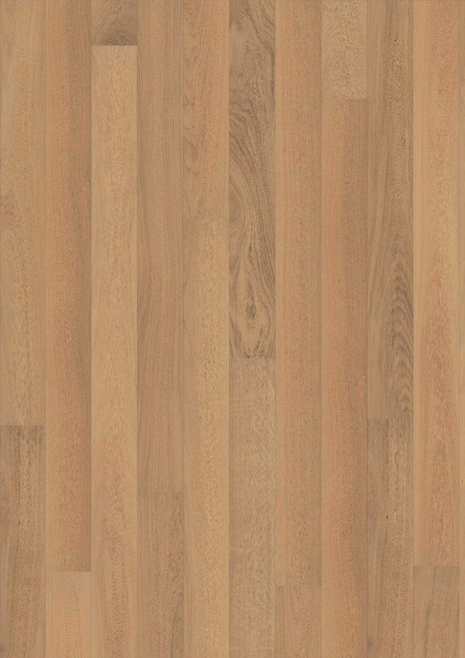 Primavera Oak Borgia 1S