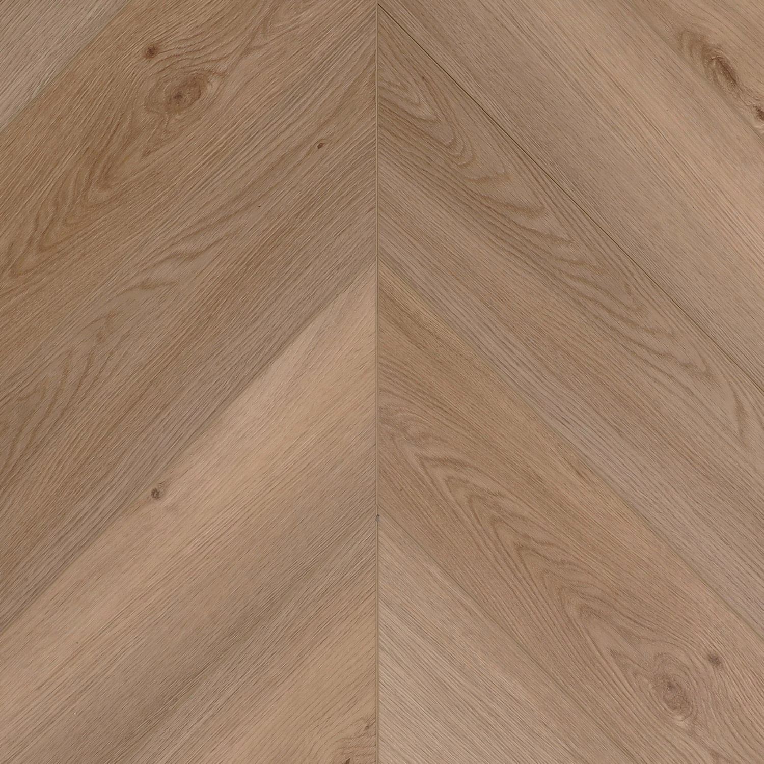 Primavera Chevron C1856 Fede
